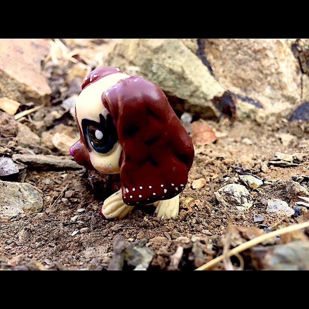Lps Custom Cocker Spaniel - Picture 5 of 5